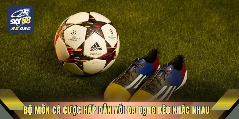 Bộ môn cá cược hấp dẫn với đa dạng kèo khác nhau hôm nay