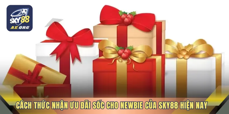Cách thức nhận ưu đãi sốc cho newbie của SKY88 hiện nay
