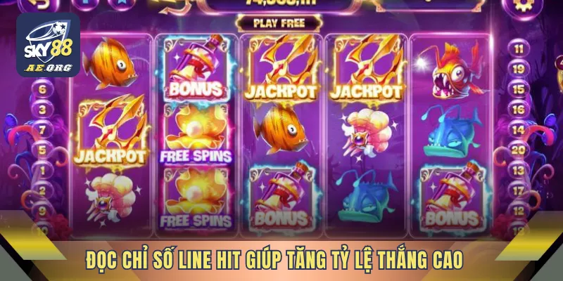 Đọc chỉ số line hit giúp tăng tỷ lệ thắng cao