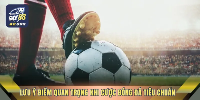Lưu ý điểm quan trọng khi tham gia cược bóng đá tiêu chuẩn