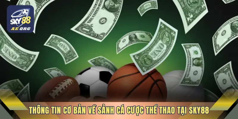 Thông tin cơ bản về sảnh cá cược thể thao tại SKY88