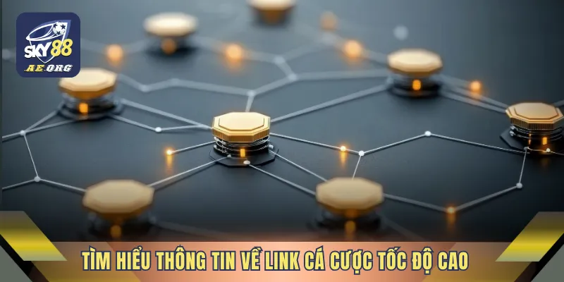 Link Cá Cược Tốc Độ Cao Tại SKY88 – Truy Cập Ổn Định 2 Tìm hiểu thông tin về link cá cược tốc độ cao