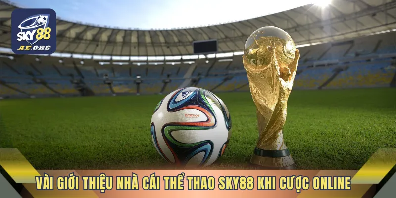 Vài giới thiệu nhà cái thể thao SKY88 khi cược online